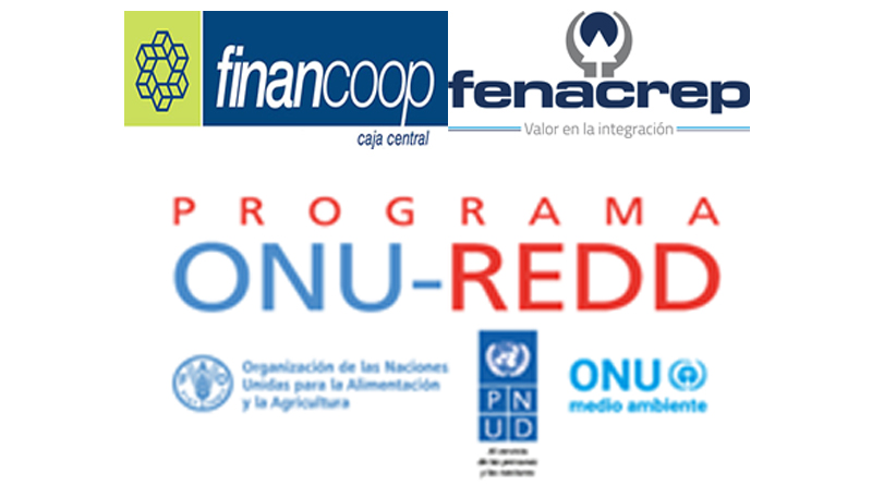colac-financoop-y-fenacrep-promueven-e-impulsan-las-finanzas-sostenibles-en-las-cooperativas-de-ecuador-y-peru-respectivamente