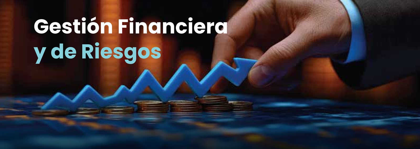 Gestión Financiera y de Riesgos