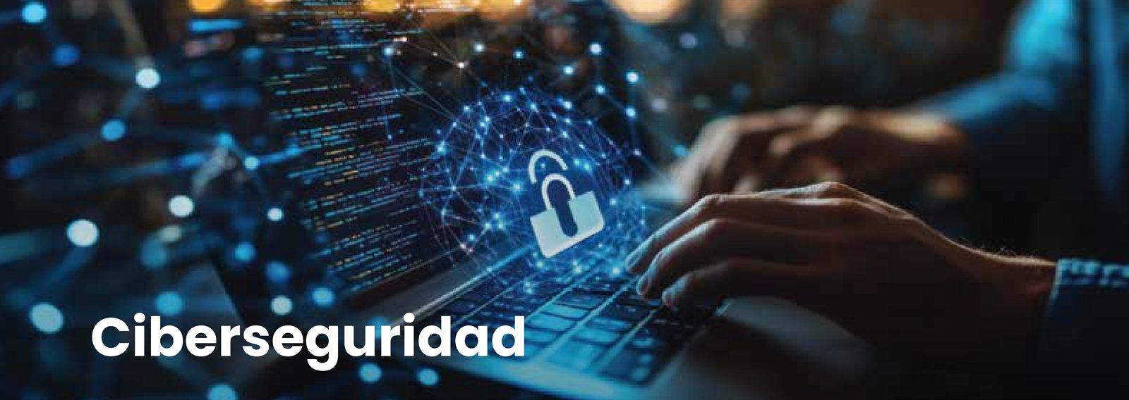 Ciberseguridad