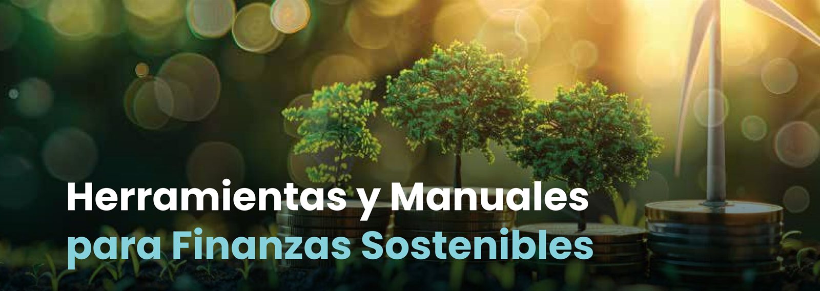 Herramientas y Manuales para Finanzas Sostenibles
